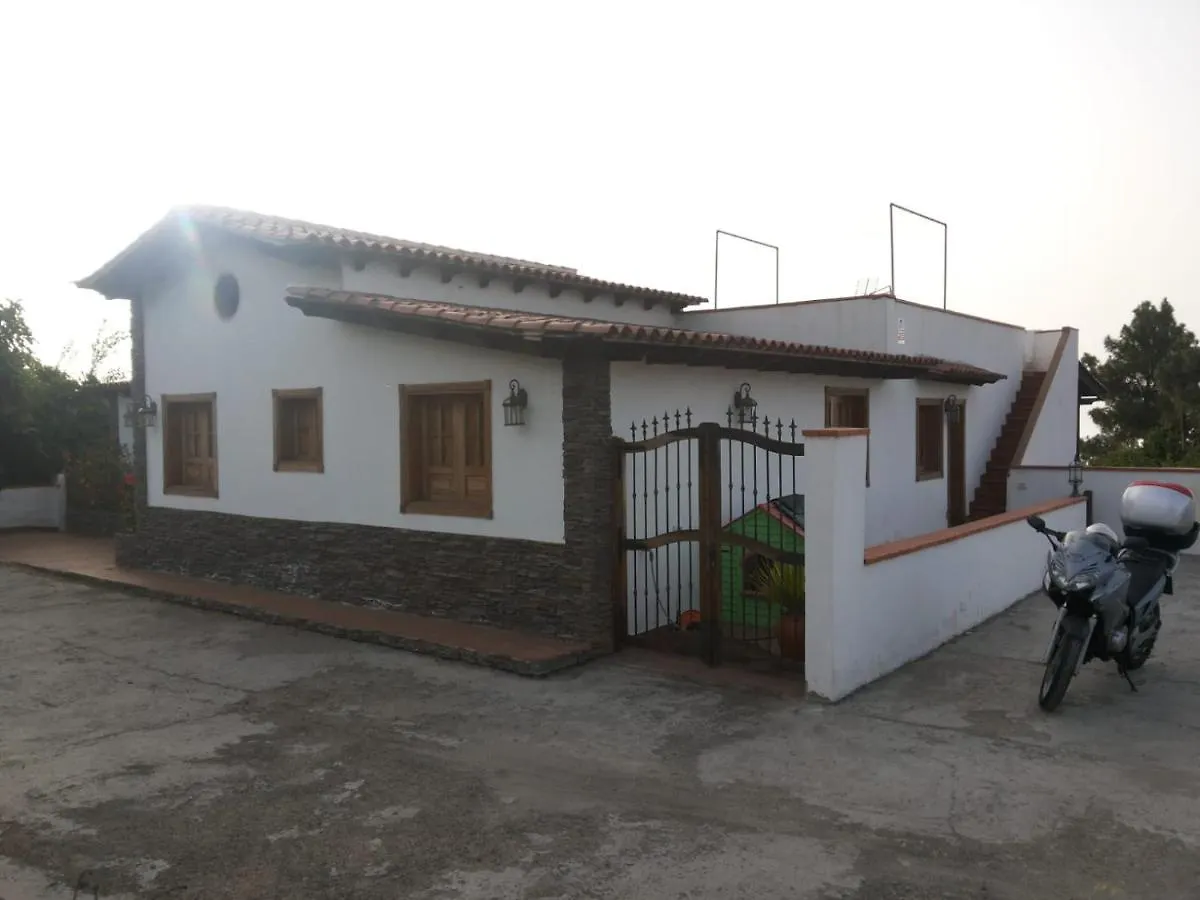 Oasis Hill Icod De Los Vinos Spanien